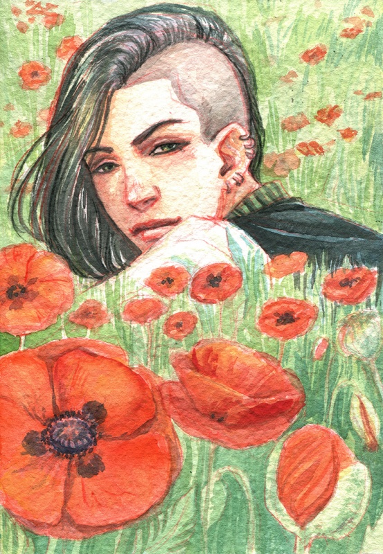 mohnblumen